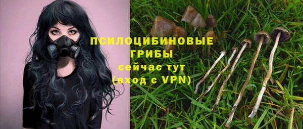 а пвп мука Зеленодольск