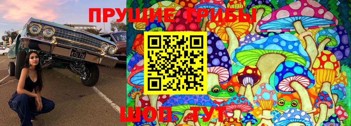 Псилоцибиновые грибы GOLDEN TEACHER Уварово