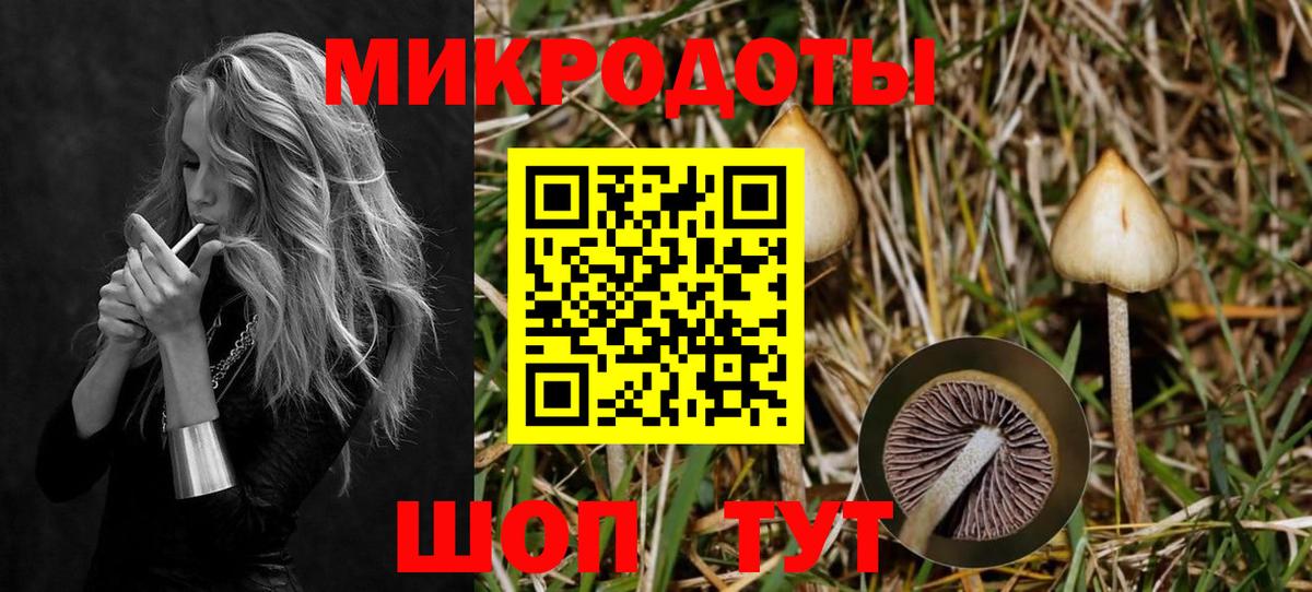 Уварово  Псилоцибиновые грибы прущие грибы  Вход с VPN 